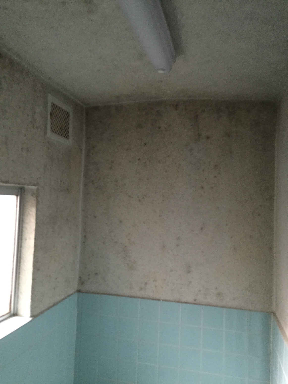 京都市左京区松ヶ崎でお風呂の天井壁の塗装をしました 外壁塗装 屋根の塗り替えなら京都市左京区の 豊塗装店 へ